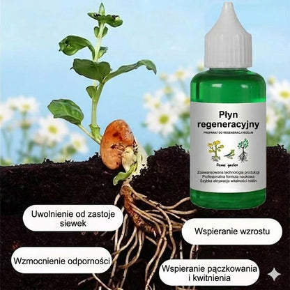 Odżywka do roślin