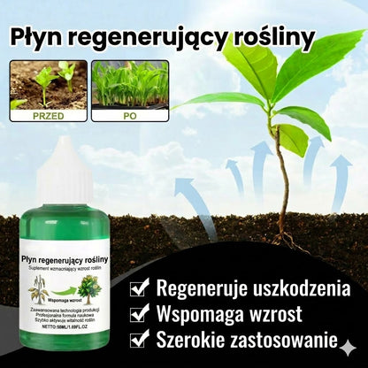 Odżywka do roślin