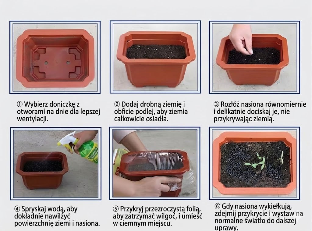 Wysokiej jakości, rzadkie i łatwe w pielęgnacji rośliny premium.
