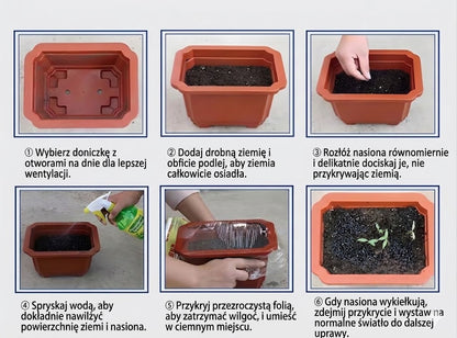Wysokiej jakości, rzadkie i łatwe w pielęgnacji rośliny premium.