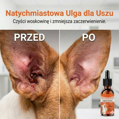 Łagodne krople do uszu dla psów – codzienna pielęgnacja