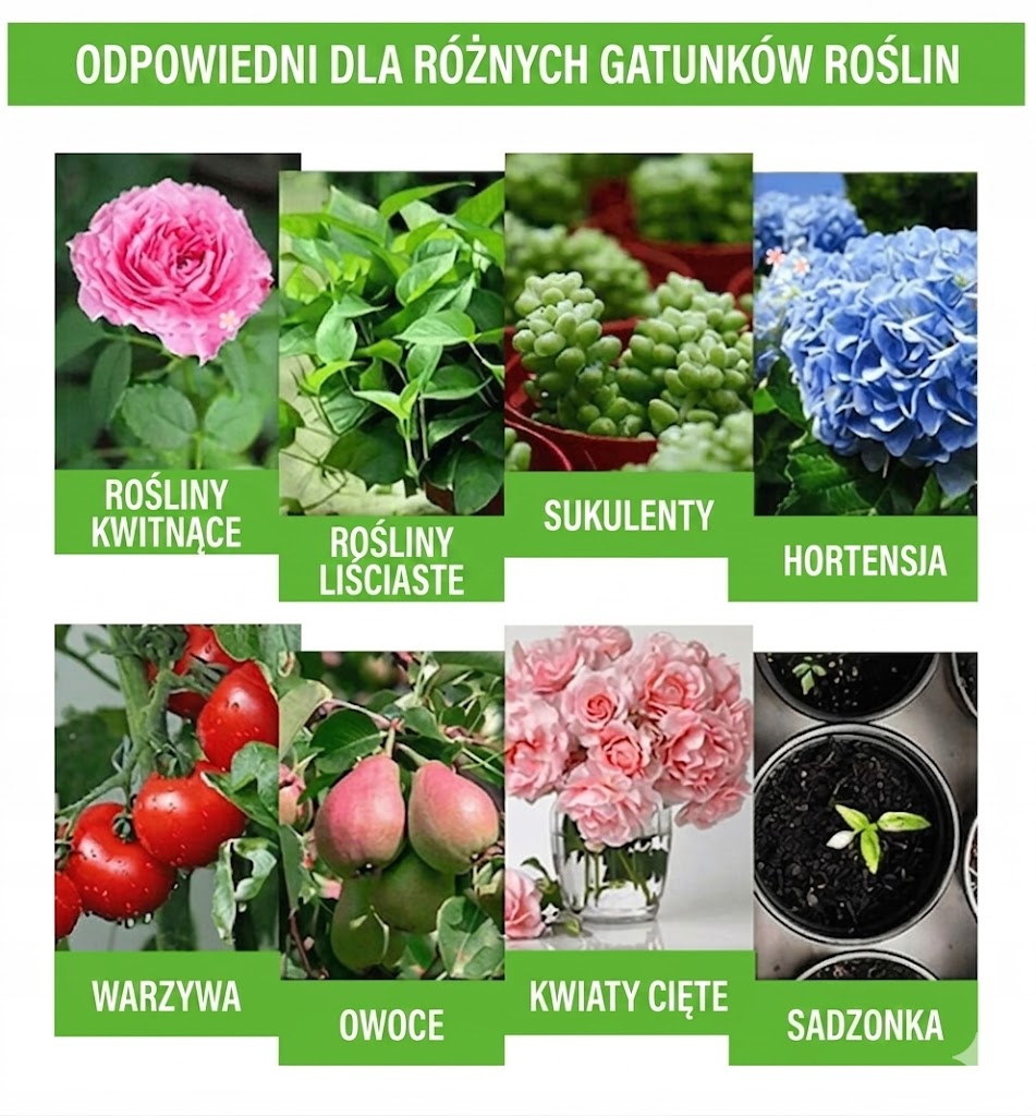 Odżywka do roślin